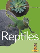 Reptiles