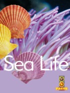 Sea Life