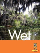 Wet