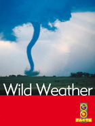 Wild Weather