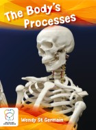 The Body’s Processes