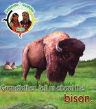 Grandfather, tell us about the bison.