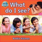 What do I see?