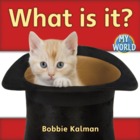 What is it?