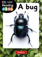 A bug