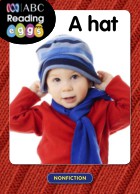 A hat