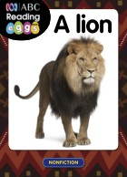 A lion