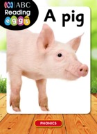 A pig