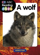 A wolf