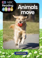 Animals move