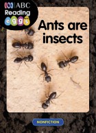 Ants are insects