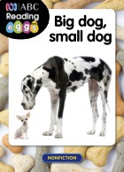 Big dog, small dog