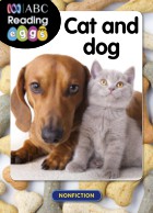 Cat and dog