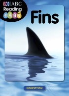 Fins