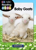 Kid goats
