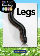 Legs