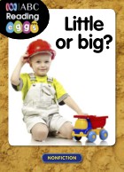 Little or big?
