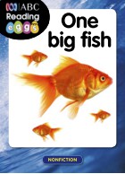 One big fish