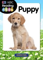 Puppy