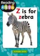 Z is for zebra