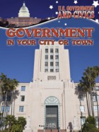 Government in Your City or Town