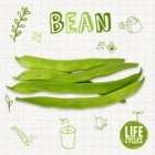Bean