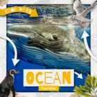 Ocean Food Webs