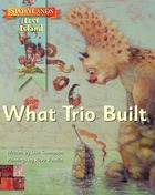 What Trio Built