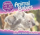 Animal Babies